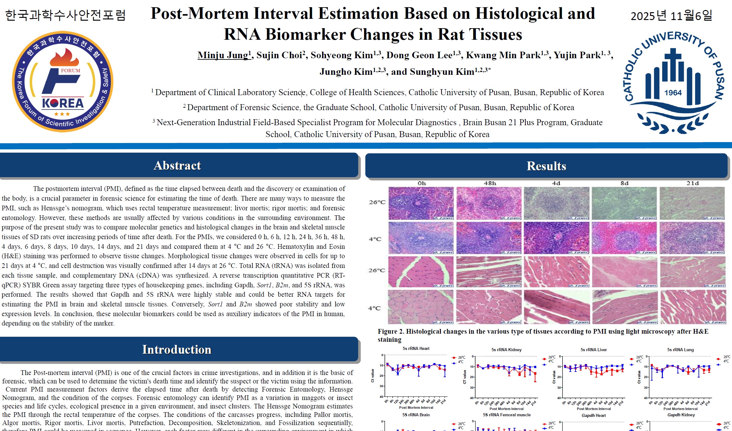 2025년 37회 한국과학수사안전포럼 포스터 발표 (Mortem Interval Estimation Based on Histological and RNA Biomarker Changes in Rat Tissues)